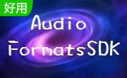 Audio Formats SDK段首LOGO