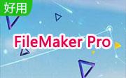 FileMaker Pro段首LOGO