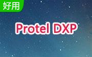 Protel DXP段首LOGO