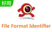 File Format Identifier段首LOGO