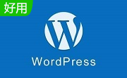 WordPress中文版段首LOGO
