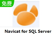 Navicat for SQL Server段首LOGO