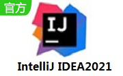 IntelliJ IDEA2021段首LOGO