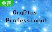 OrgPlus Professional段首LOGO