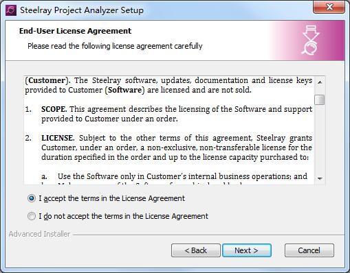 Steelray Project Analyzer