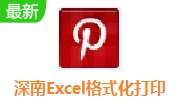 深南Excel格式化打印软件段首LOGO