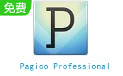 Pagico Professional段首LOGO