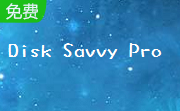 Disk Savvy Pro(x64)段首LOGO