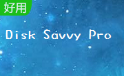 Disk Savvy Pro(x32)段首LOGO