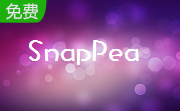 SnapPea段首LOGO