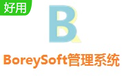 BoreySoft管理系统段首LOGO