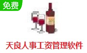 天良人事工资管理软件段首LOGO