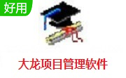大龙项目管理软件段首LOGO