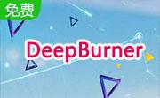 DeepBurner段首LOGO