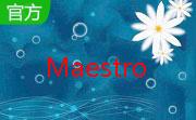 Autorun Maestro段首LOGO