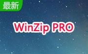 WinZip PRO段首LOGO