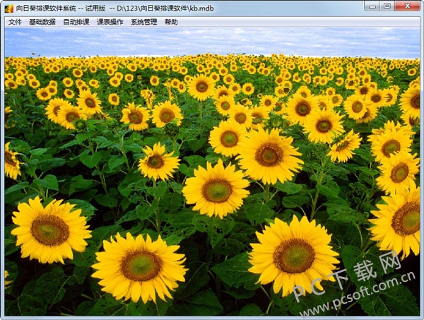 向日葵排课软件-2.jpg