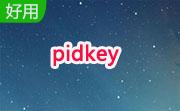 pidkey(密匙检测工具)段首LOGO