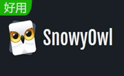 SnowyOwl段首LOGO