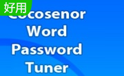 Cocosenor Word Password Tuner段首LOGO