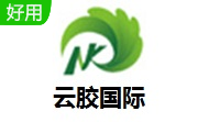 云胶国际段首LOGO