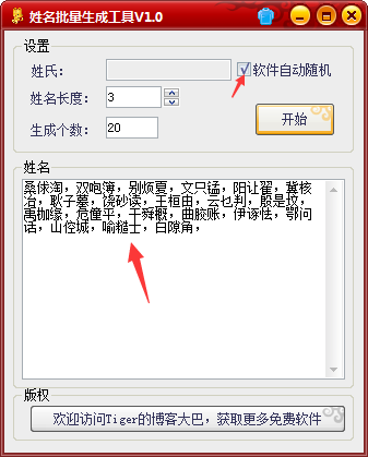 姓名批量生成工具