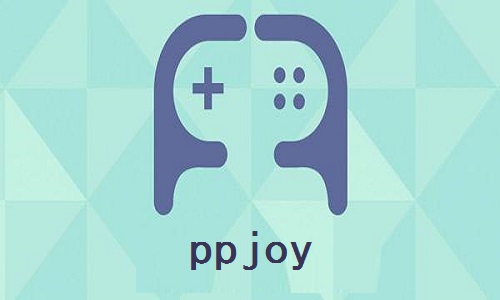 ppjoy please install ppjoybus.sys first