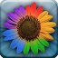 download picasa photoviewer