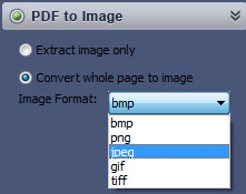 convert pdf to image